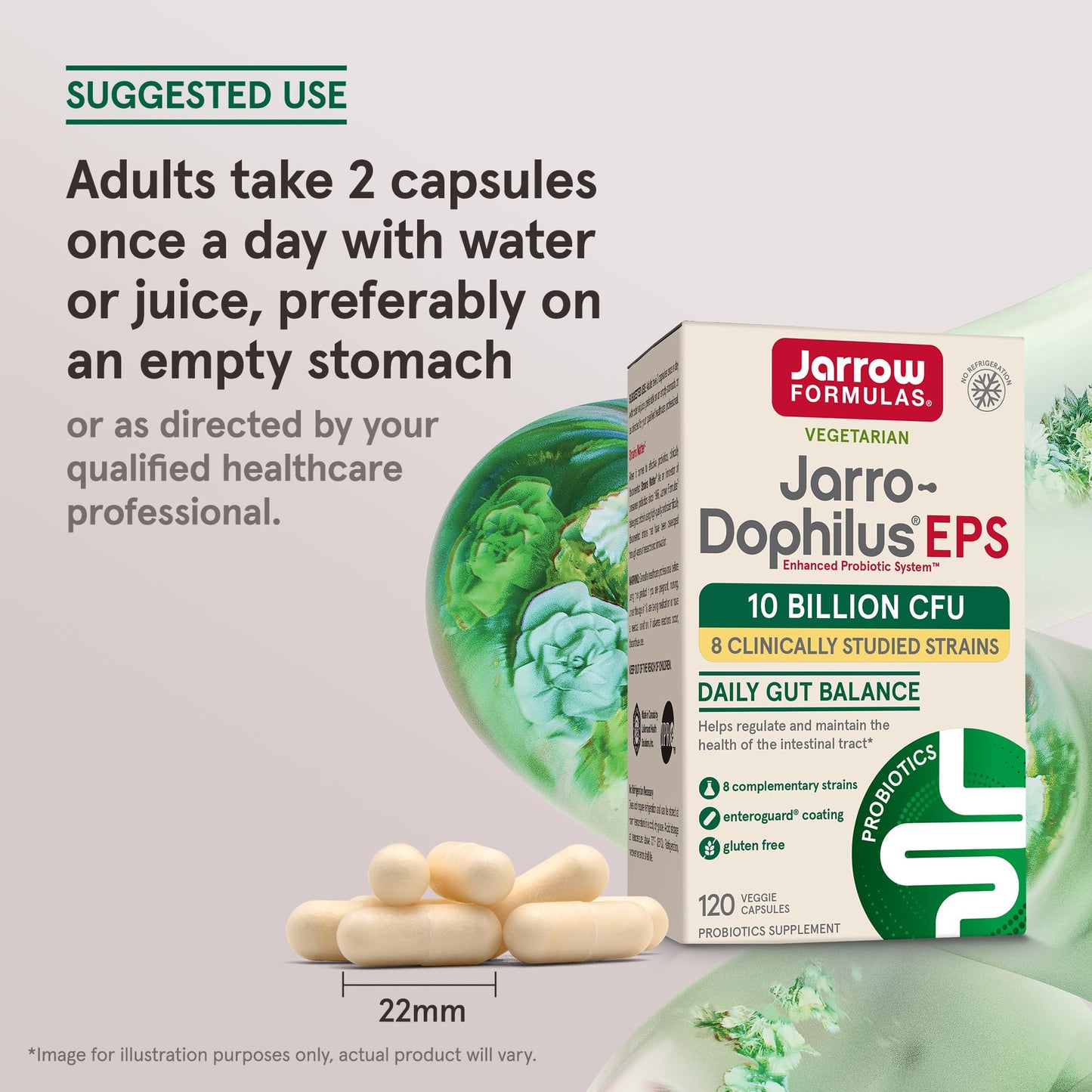 Jarrow Formulas Jarro Dophilus Probiotics 10 Billion CFU - Probiotic Supplement Capsules for Digestive Health & Gut Health for Women and Men - Maple Wellness Supplements