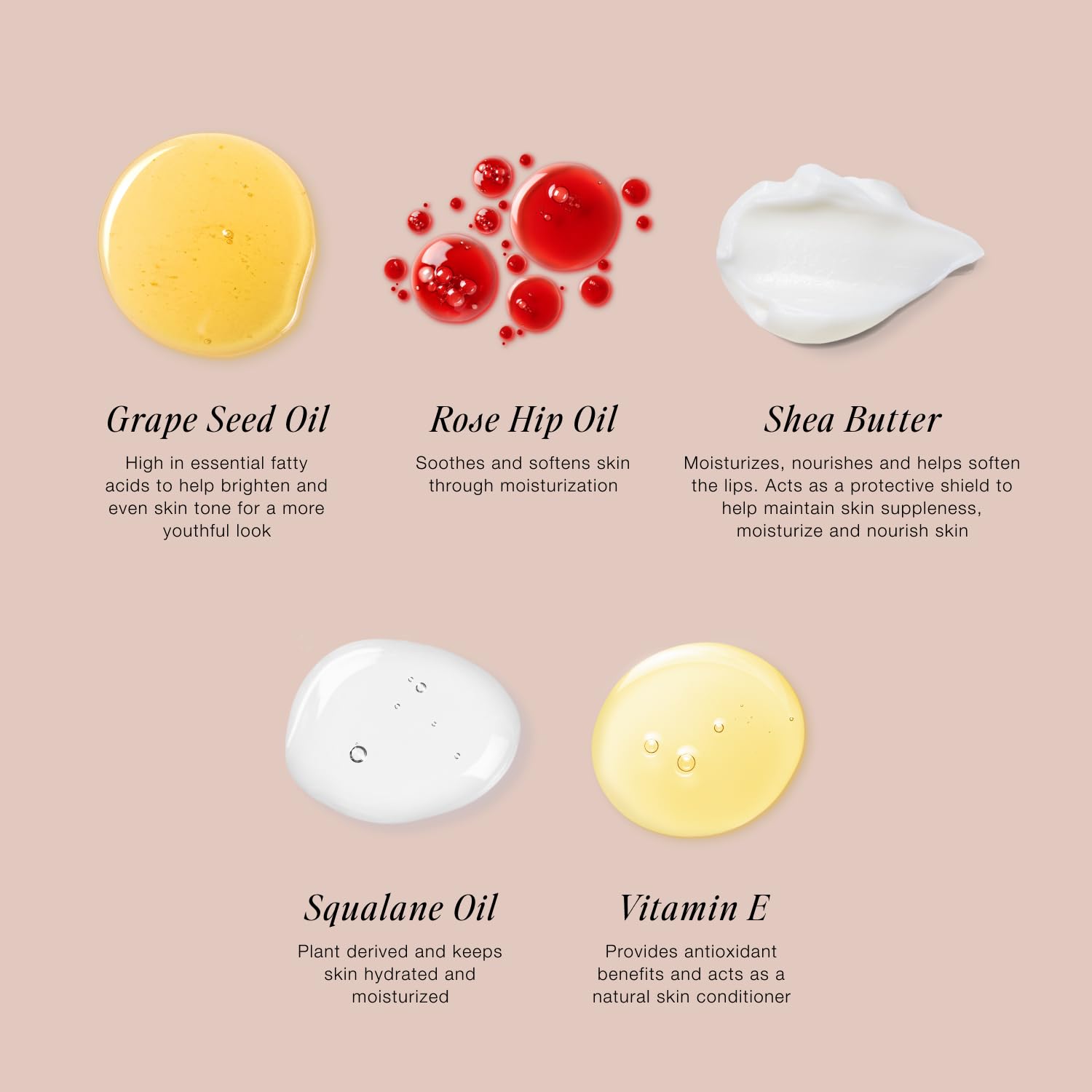 Jouer Blush & Bloom Cheek + Lip Duo - Hydrating Cream Blush Stick for Lip and Cheek Tint - Moisturizing Rose Hip and Squalane Oil Formula, Celebrate - Maple Wellness Supplements