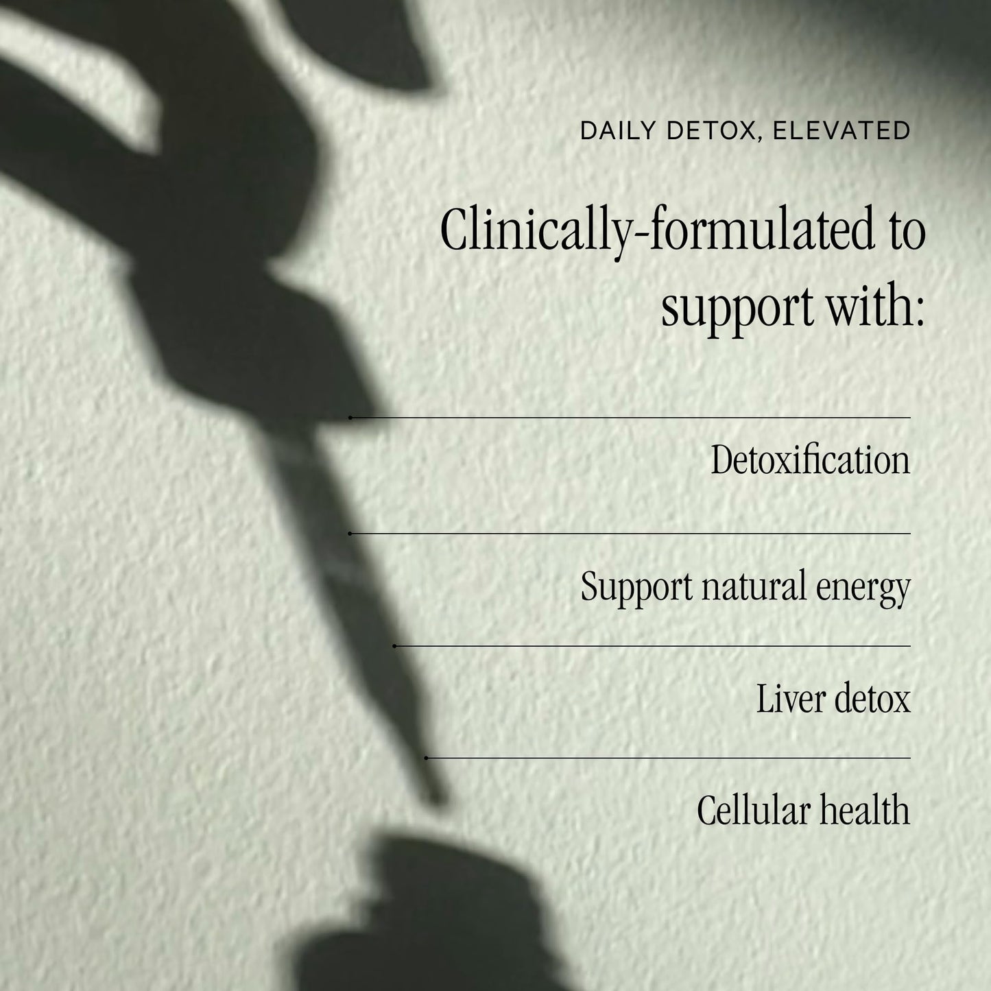 Juna Detox Chlorophyll Drops — Daily Wellness & Detox Support | Lemon Mint Spa Water Taste | Supports Cellular Health, Cleanse - Maple Wellness Supplements