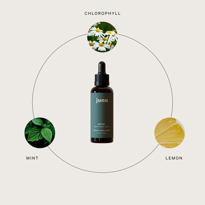 Juna Detox Chlorophyll Drops — Daily Wellness & Detox Support | Lemon Mint Spa Water Taste | Supports Cellular Health, Cleanse - Maple Wellness Supplements