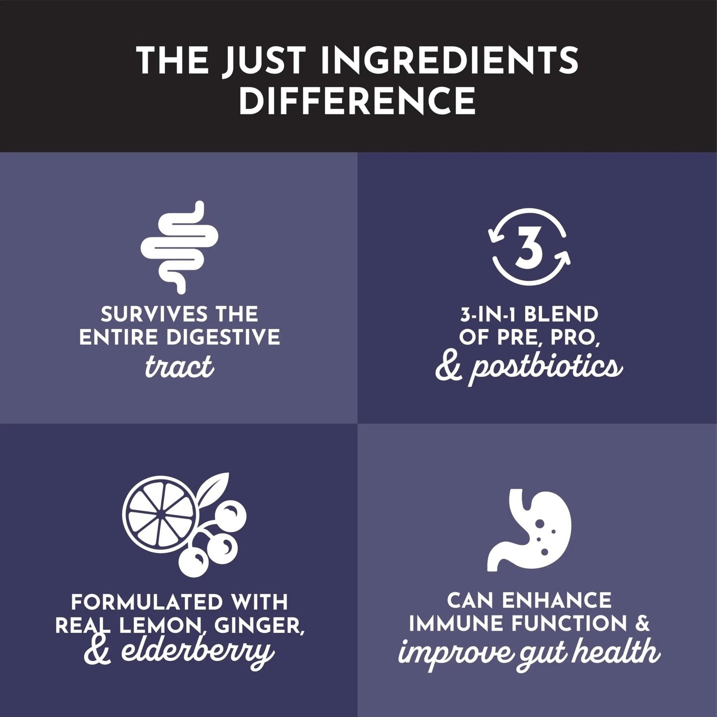 JUST INGREDIENTS Elderberry Lemonade 3-in-1 Probiotic Complex - Prebiotics, Probiotics & Postbiotics - 30 Sticks - Maple Wellness Supplements