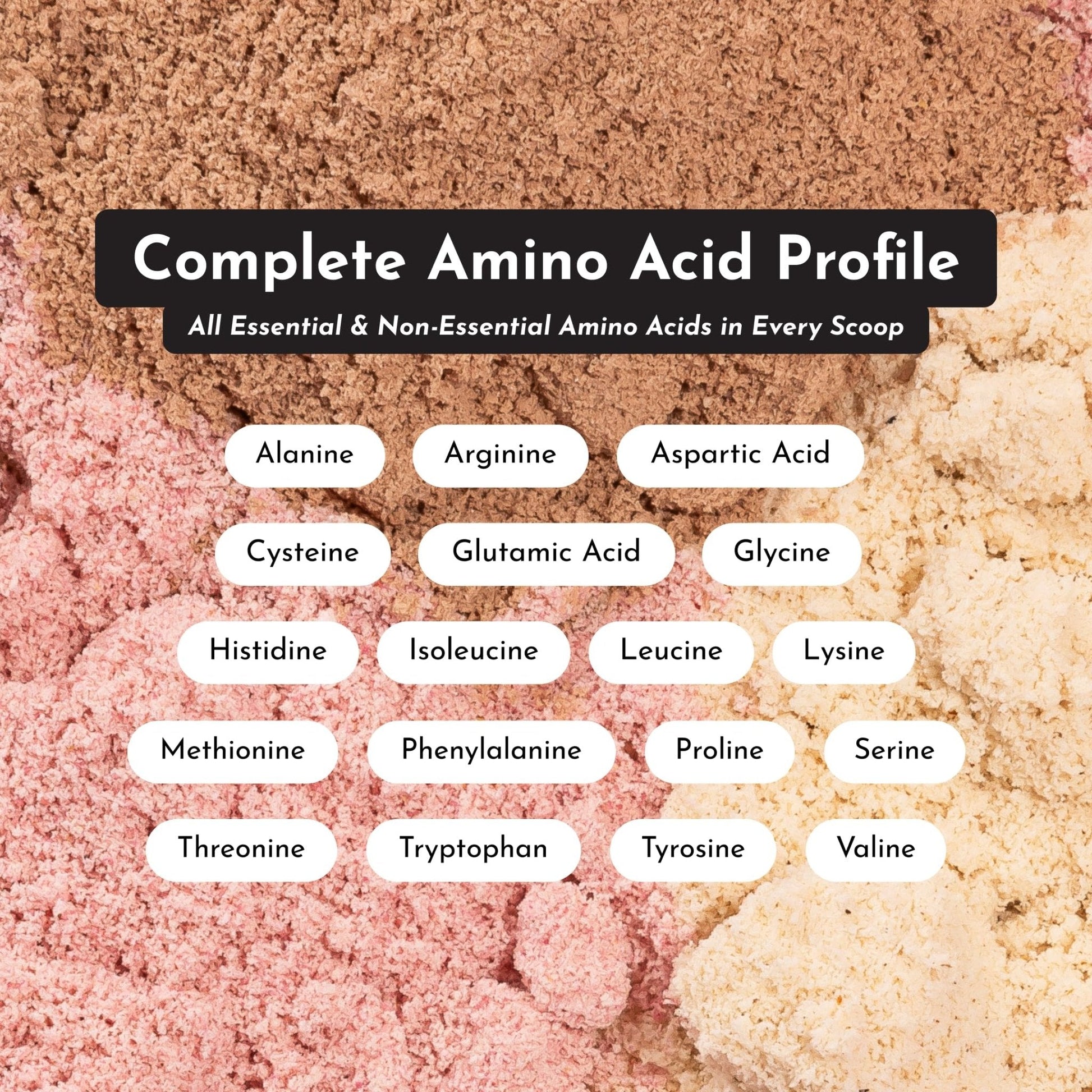 JUST INGREDIENTS Vanilla Protein Powder - Grass-Fed Whey Blend, Organic, Gluten Free, Dairy Free, Soy Free - 15 Servings, 22g Protein - Maple Wellness Supplements