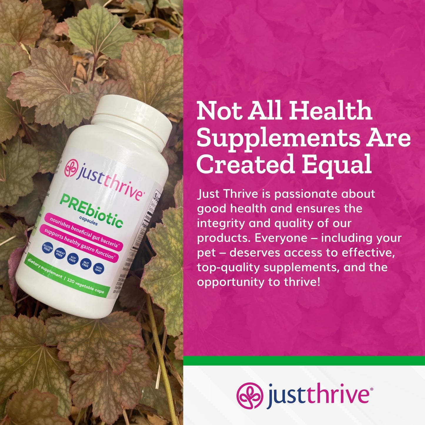 Just Thrive PREbiotic Capsules - Prebiotic Blend for Gut Health and Immune Support, 120 Caps - Maple Wellness Supplements