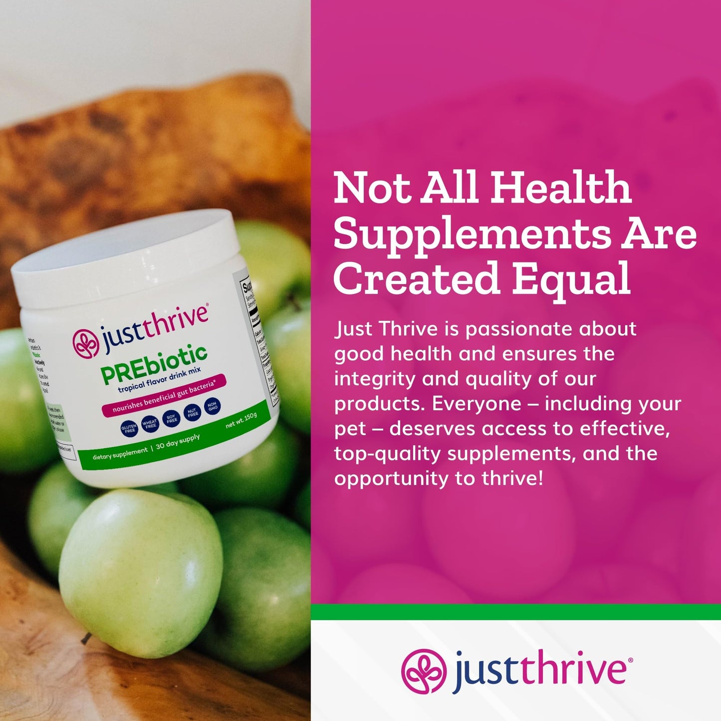 Just Thrive PREbiotic Powder - Digestive and Immune Support Supplement, 150 g - Maple Wellness Supplements