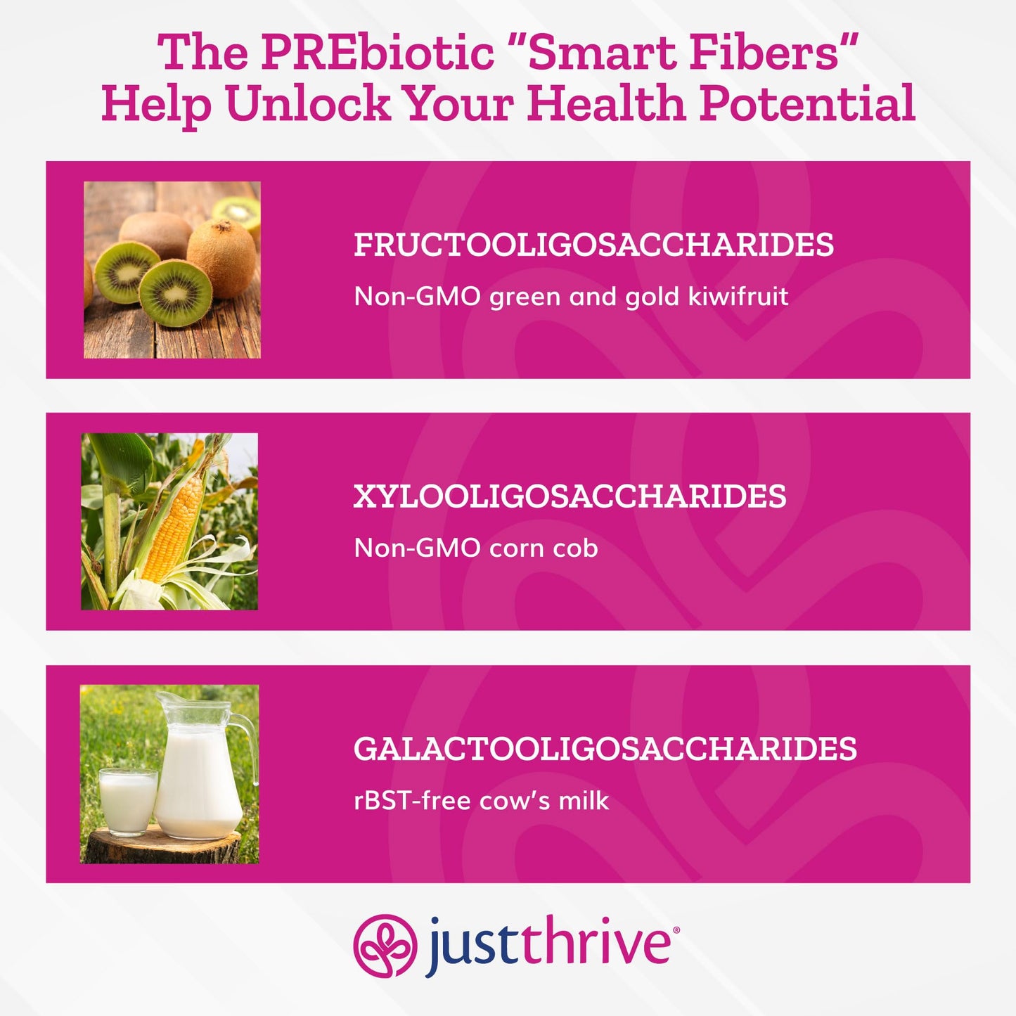 Just Thrive PREbiotic Powder - Digestive and Immune Support Supplement, 150 g - Maple Wellness Supplements