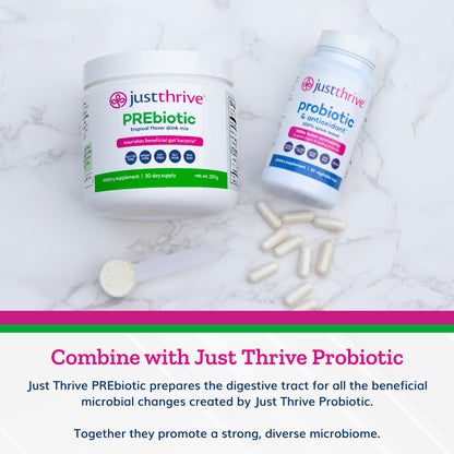 Just Thrive PREbiotic Powder - Digestive and Immune Support Supplement, 150 g - Maple Wellness Supplements