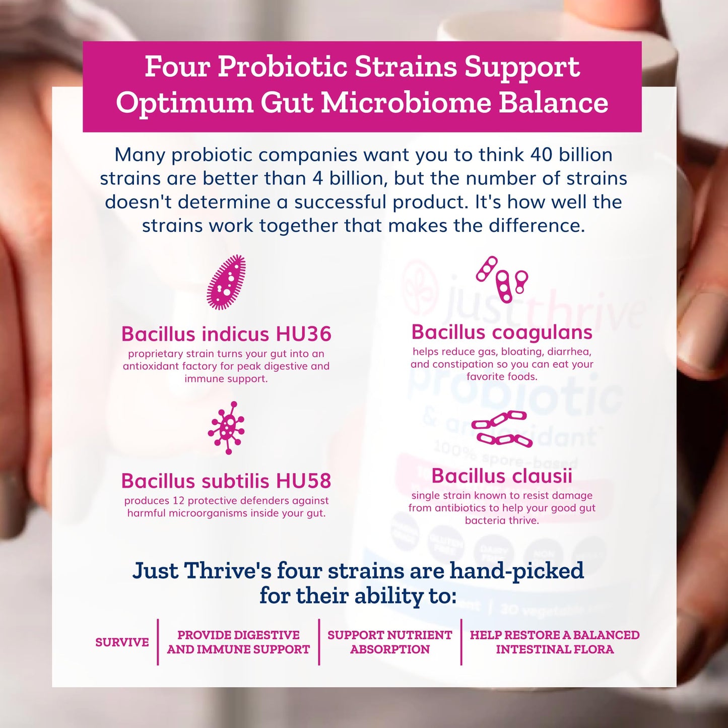 Just Thrive Probiotic & Antioxidant Supplement - 100% Spore-Based Digestive and Immune Support - Gluten Free, 30 Caps - Maple Wellness Supplements