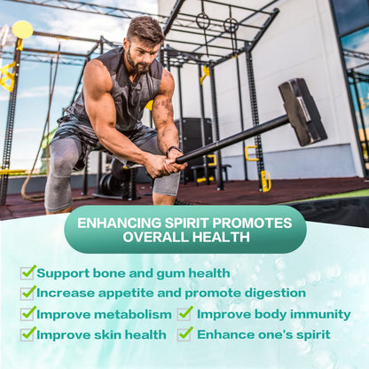 KFG Probiotic Supplement 100 Billion CFU, 20 Strains, 2 Prebiotics and Digestive Enzymes, Supports Digestion, Immune Support, Gut Health and Metabolism, Non-GMO, - Maple Wellness Supplements