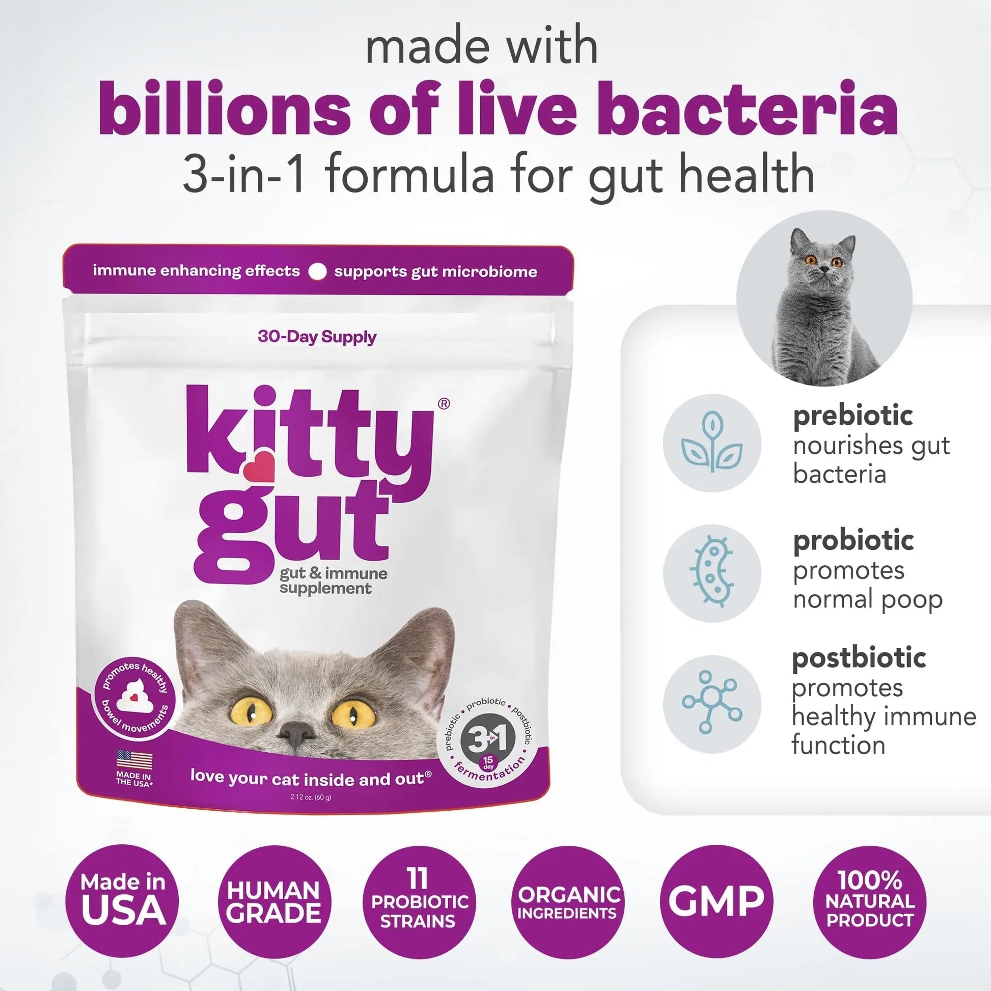 KittyGut 3-in-1 Organic Cat Probiotics & Postbiotic Supplement Powder- Made in USA-Probiotics for Cats Promote Gut Health and Cat Digestive Support, Diarrhea and Vomiting (60g) - Maple Wellness Supplements