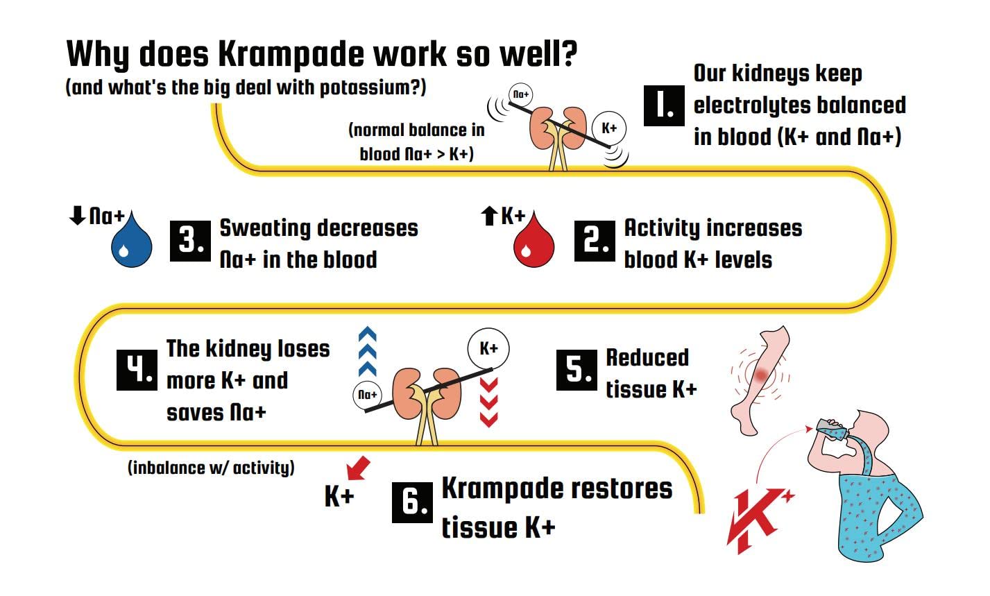 Krampade Original Lemon Lime 4K, 4000 mg Potassium Instant Cramp Relief Electrolyte Drink Powder | Designed for Athletes and Crampers | 19-Serving Resealable Pouch - Maple Wellness Supplements