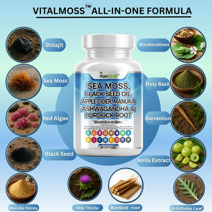 Kun Shafi Sea Moss Complex – with Black Seed Oil, Shilajit, Amla, Moringa, Turmeric, Ashwagandha & Burdock – Enriched with Vitamin C, D3, Chlorophyll, Manuka & Ginger – 60 Capsules - Maple Wellness Supplements