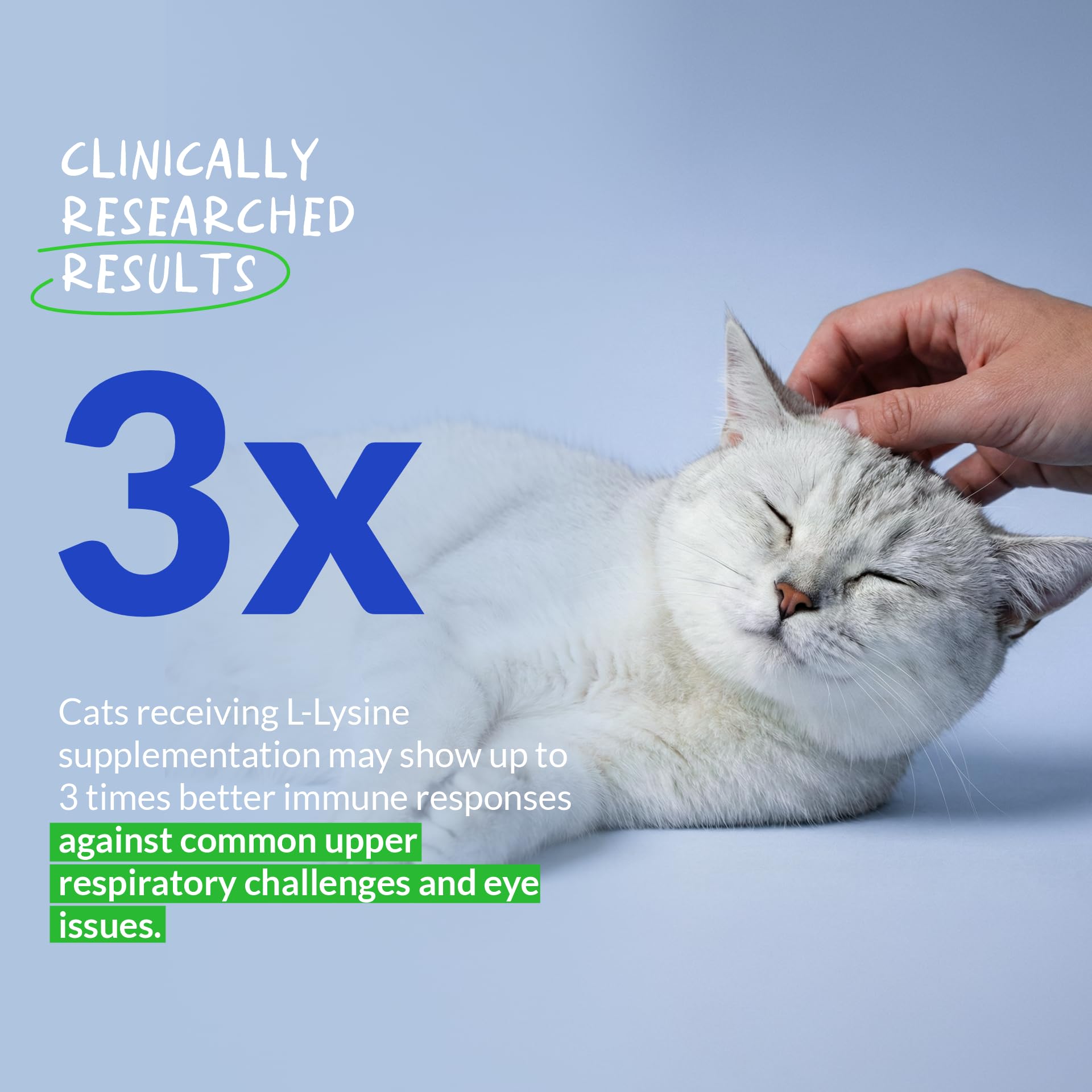 L-Lysine Supplement for Cats 900mg/scoop - Cat Supplement for Sneezing and Runny Nose, Cold, Immune Support, Eye Function - Maple Wellness Supplements