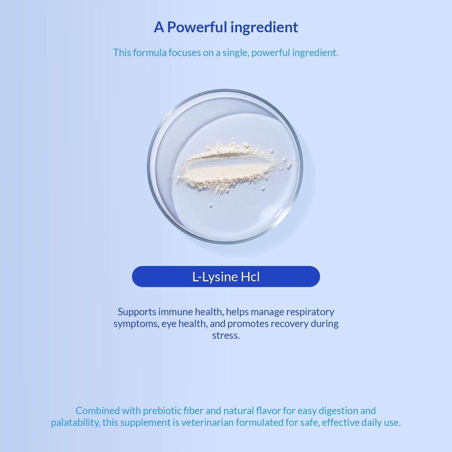 L-Lysine Supplement for Cats 900mg/scoop - Cat Supplement for Sneezing and Runny Nose, Cold, Immune Support, Eye Function - Maple Wellness Supplements