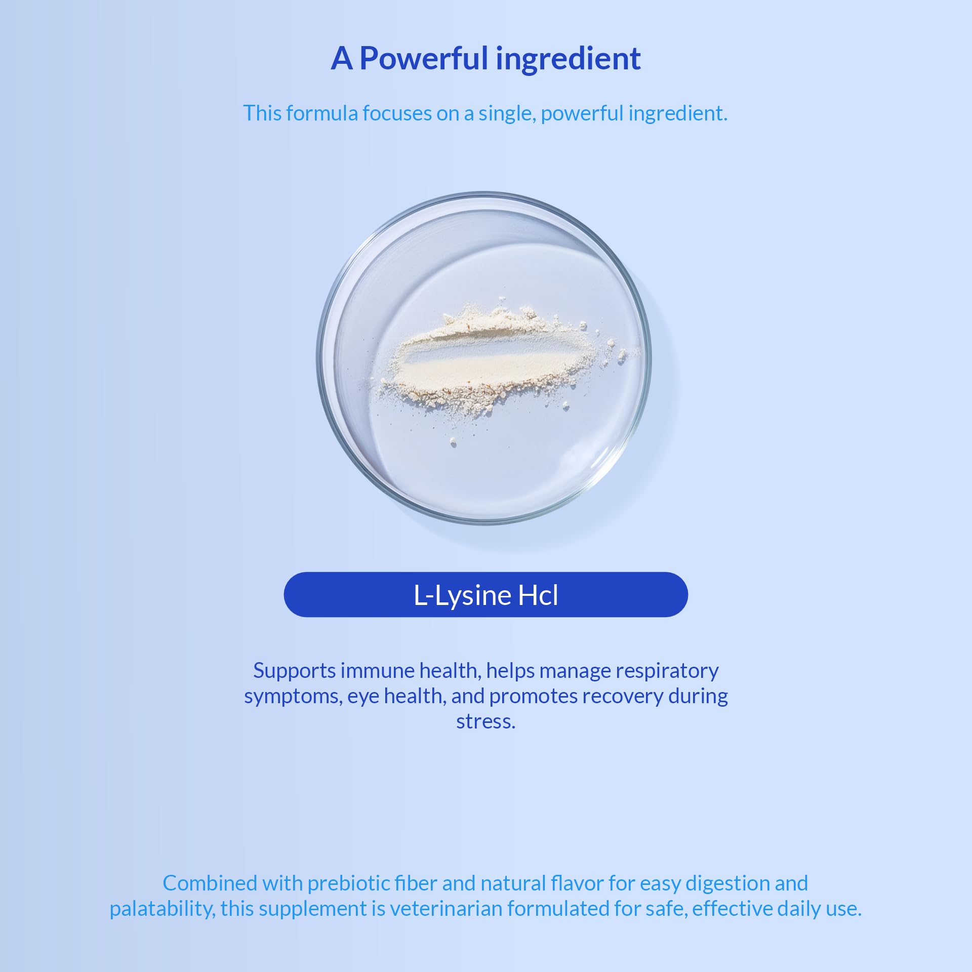 L-Lysine Supplement for Cats 900mg/scoop - Cat Supplement for Sneezing and Runny Nose, Cold, Immune Support, Eye Function - Maple Wellness Supplements