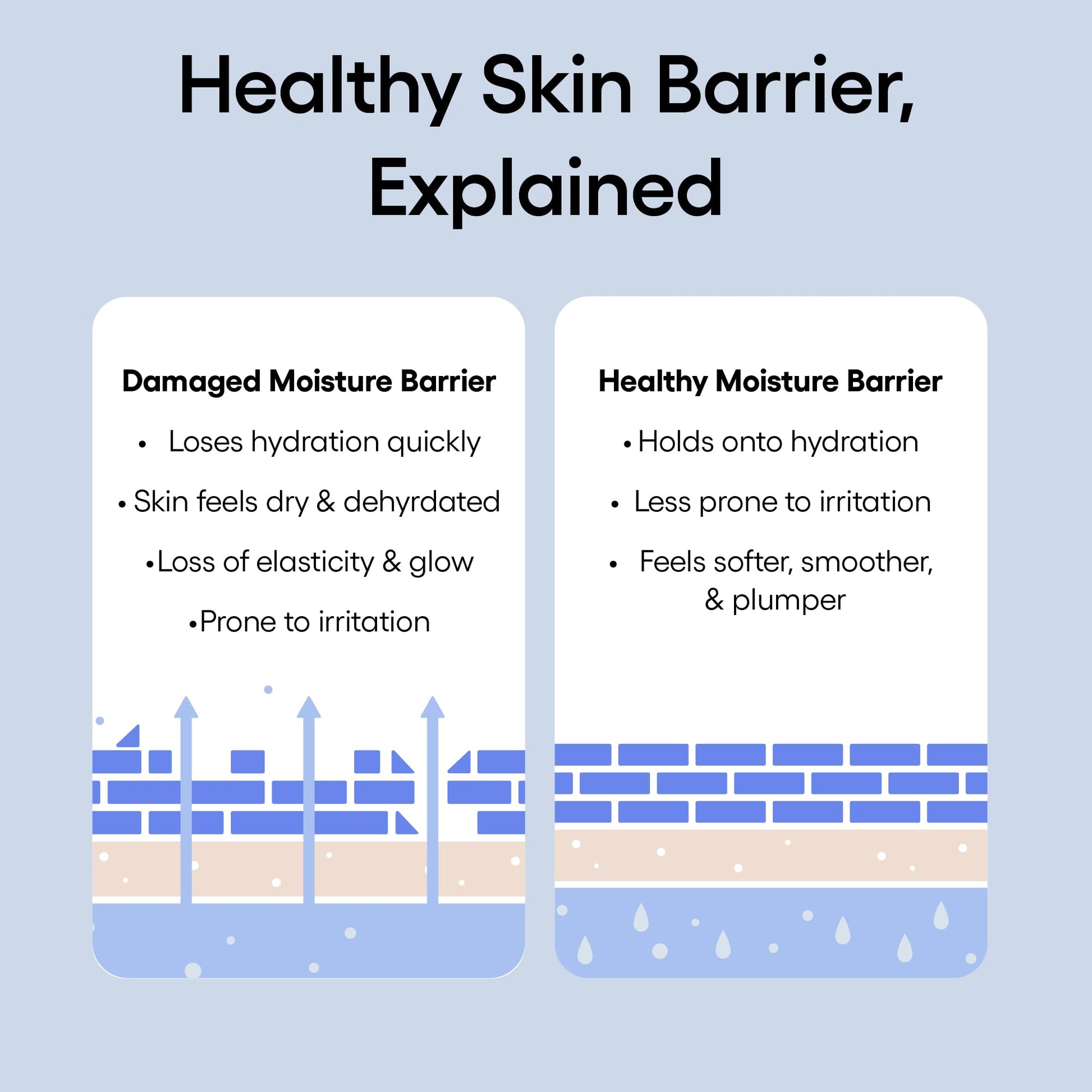 LANEIGE Water Bank Blue Hyaluronic Cream Moisturizer: Hydrating Korean Face Cream with Squalane & Ceramide - Maple Wellness Supplements