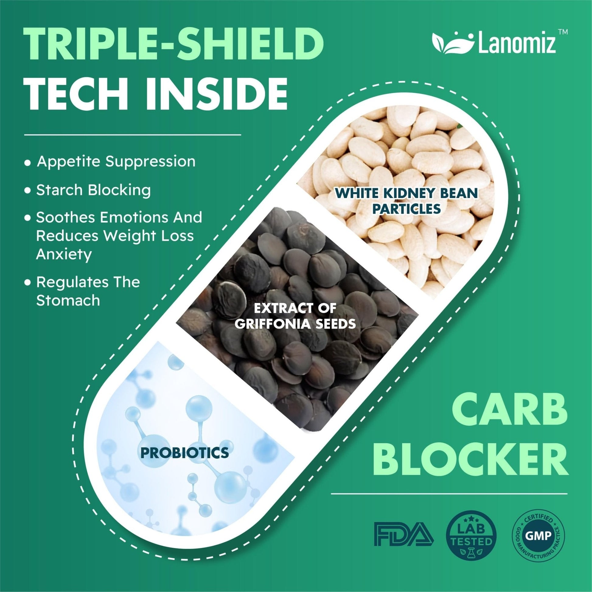 Lanomiz 14DAY Appetite & Craving Control Gut Health Complex Featuring Delayed-Release Probiotics & White Kidney Bean Extract 5-HTP - Maple Wellness Supplements