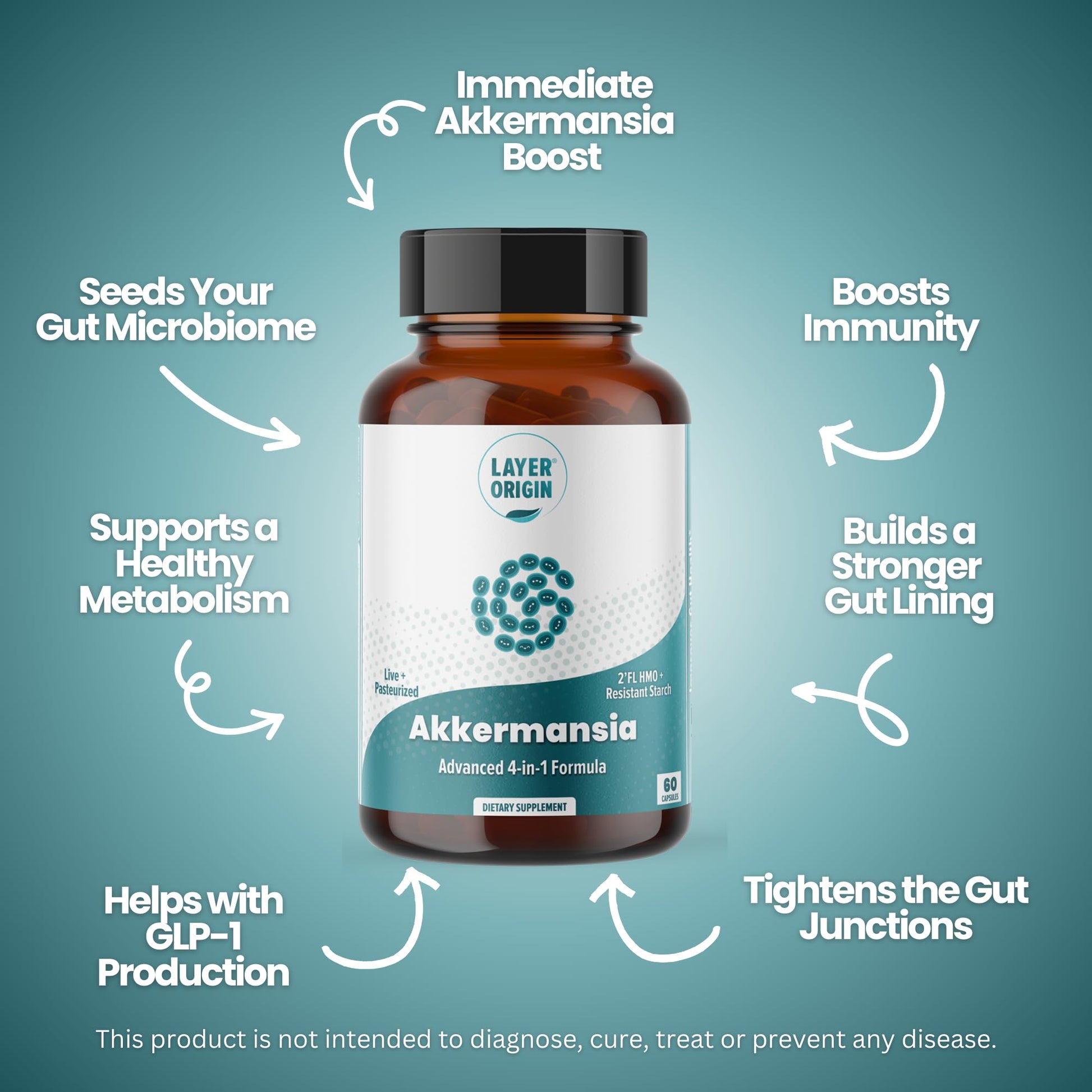 Layer Origin Akkermansia muciniphila Probiotic, with Both Live + Pasteurized Akkermansia and PureHMO Prebiotic, Validated Strain, Updated 4-in-1 Formula - Maple Wellness Supplements