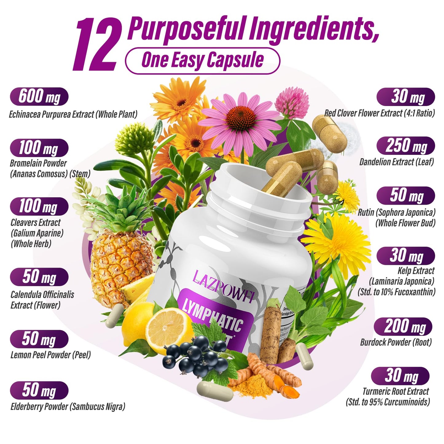 Lazpowfi Lymphatic Drainage Supplements, 1540mg Lymph System Support Supplement for Women & Men with Dandelion, Burdock, Echinacea,Rutin, Turmeric,Cleavers & More, 60 Capsules - Maple Wellness Supplements