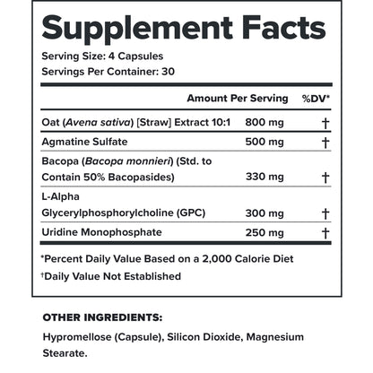 LEGION Athletics Ascend Nootropic - All-Natural Brain Supplements for Memory and Focus - Nootropics Brain Support Supplement with Alpha-GPC - Brain Supplement for Alertness & Mood Support, 30 Servings - Maple Wellness Supplements