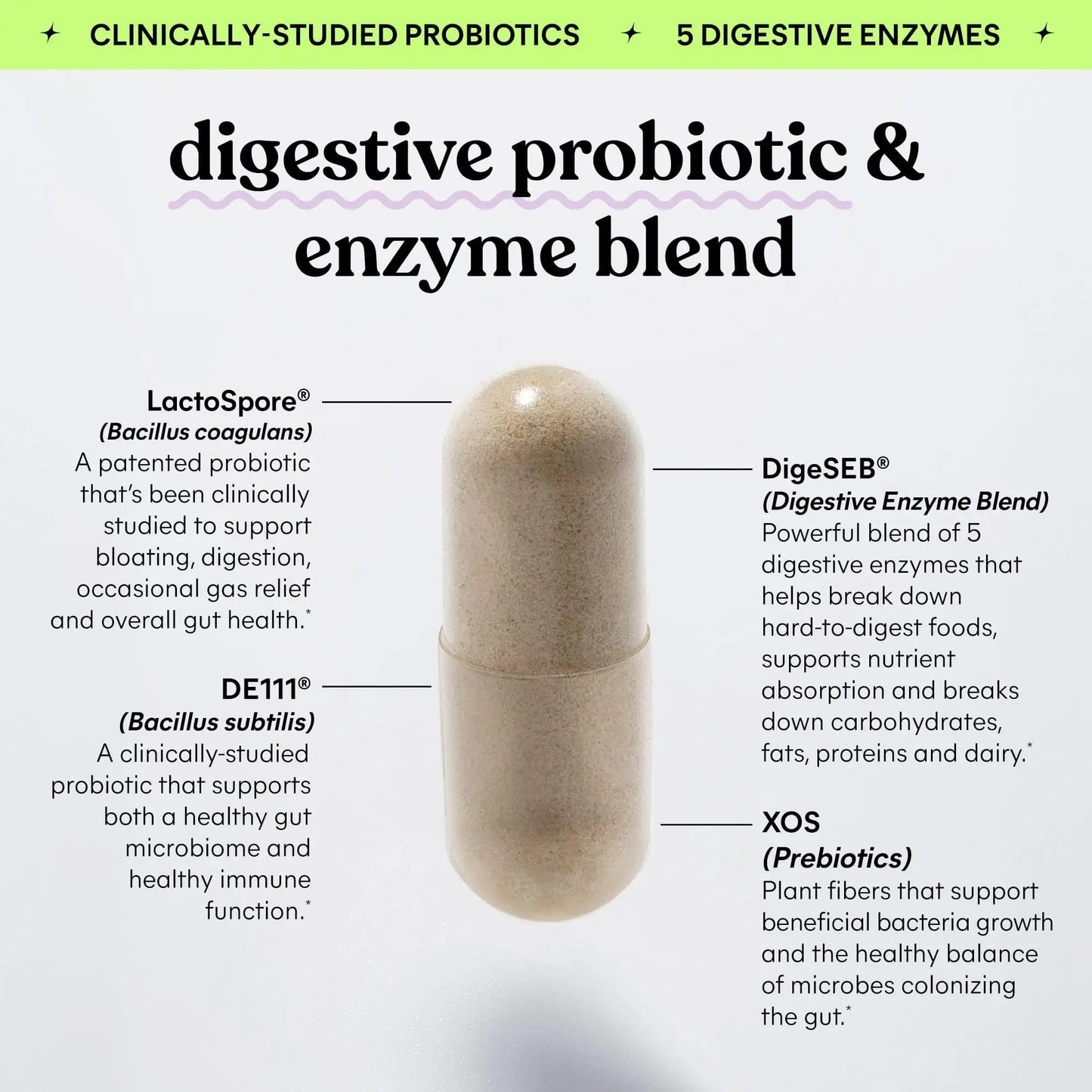 Lemme Debloat 3-in-1 Prebiotic, Probiotic & Digestive Enzyme Capsules for Bloating & Gas Relief - 2 Clinically Studied Probiotics w/5 Digestive Enzymes to Improve Digestion, Women & Men, (60 Count) - Maple Wellness Supplements