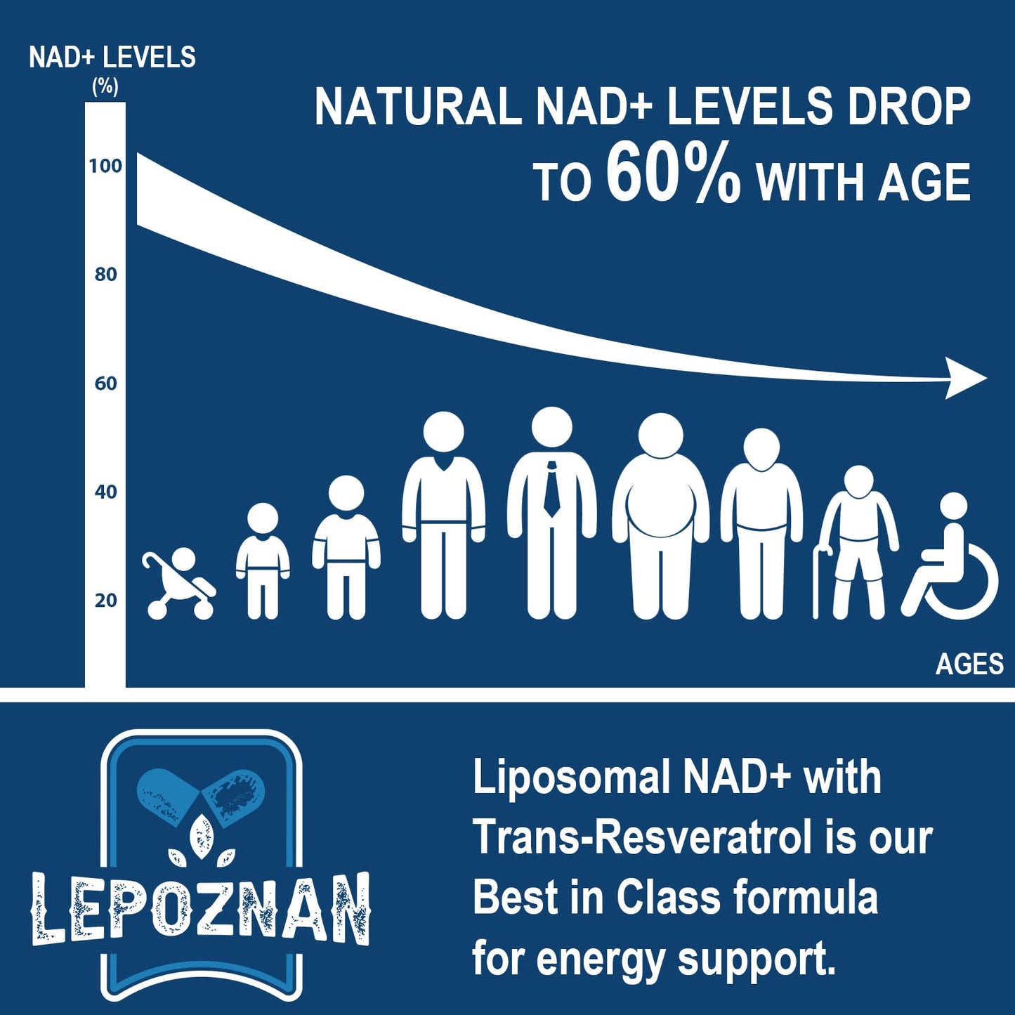 Lepoznan Liposomal NAD+ 500 mg + Trans-Resveratrol 300 mg, Superior Absorption True NAD Supplement Efficient for Cellular Energy Metabolism & DNA Repair, 60 Softgels - Maple Wellness Supplements