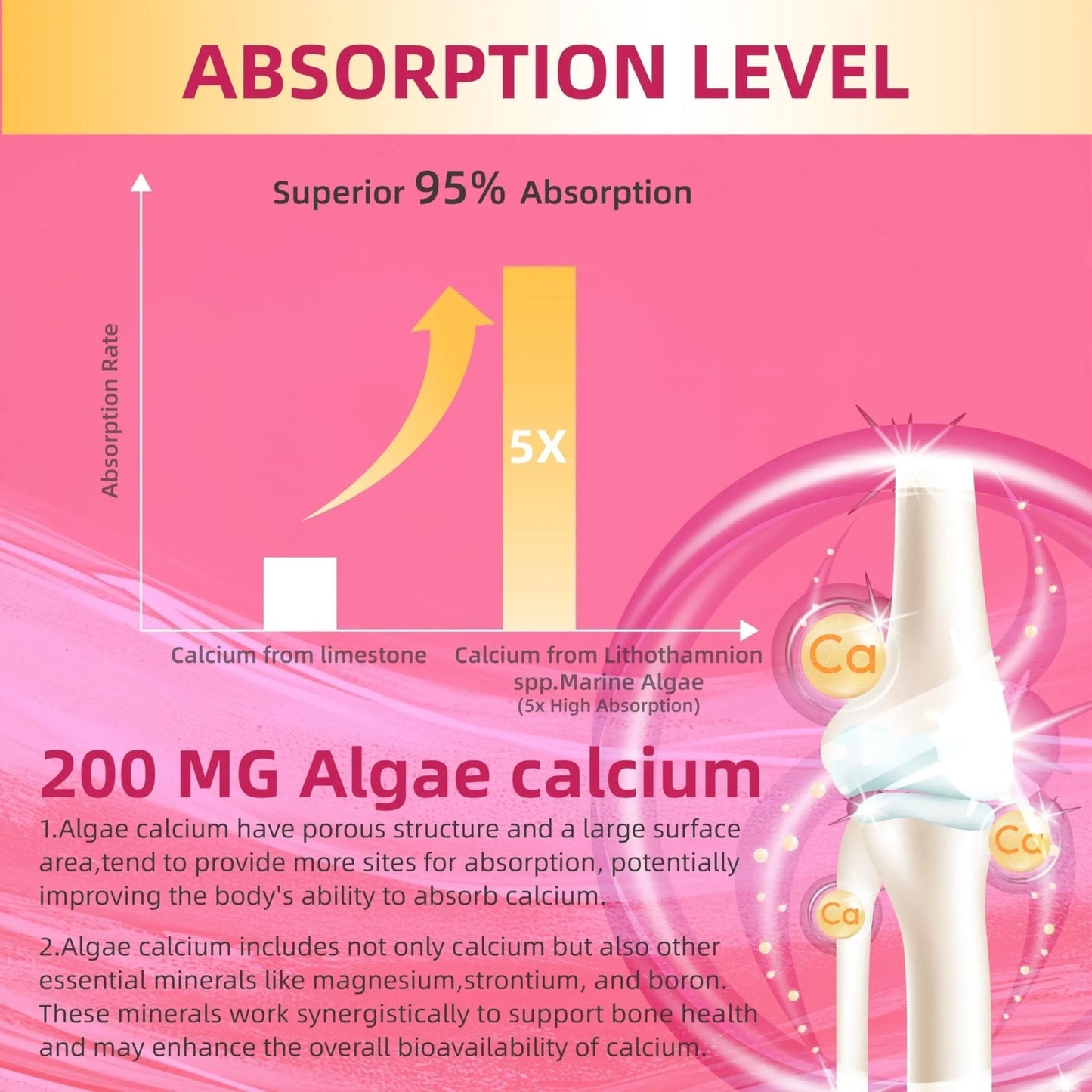Lerinettia Multivitamin for Women Gummies for 40+ with Omega-3, Niacinamide, B-Complex, Lutein, Iron, Choline, Phosphatidylserine, Vitamin D3 - Maple Wellness Supplements