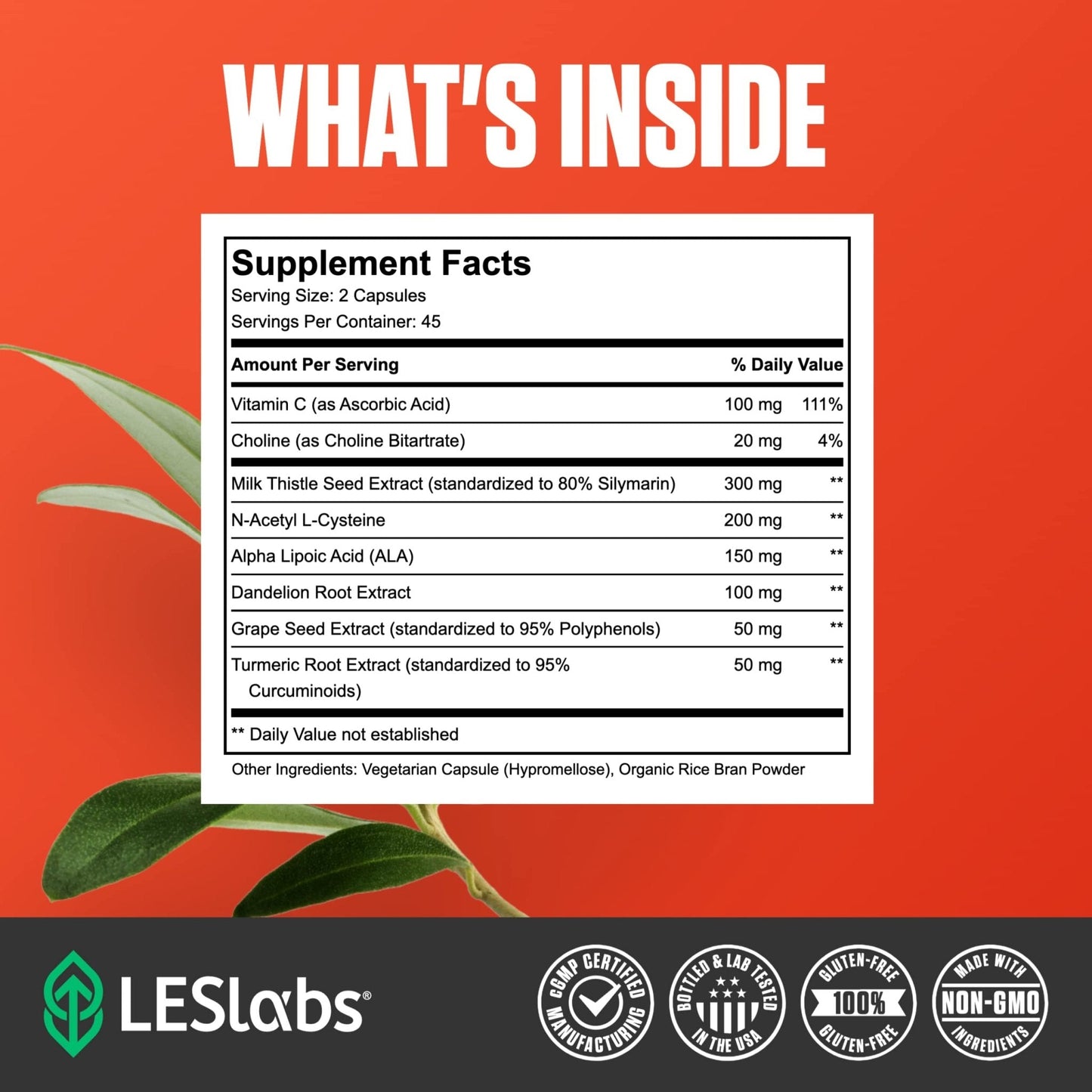 LES Labs Liver Support – Promotes Healthy Liver Function, Glutathione Production & Detoxification – Milk Thistle, NAC, ALA & Dandelion Extracts – Non-GMO Supplement – 90 Capsules - Maple Wellness Supplements