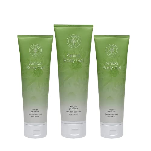 L’EUDINE Arnica Gel – Pack of 3 – Extra Strength for Bruise Relief, Wonder-Plant for Treating Muscle Soreness, Bruising, and Swelling - Fast Absorbing, Natural Formula - Maple Wellness Supplements