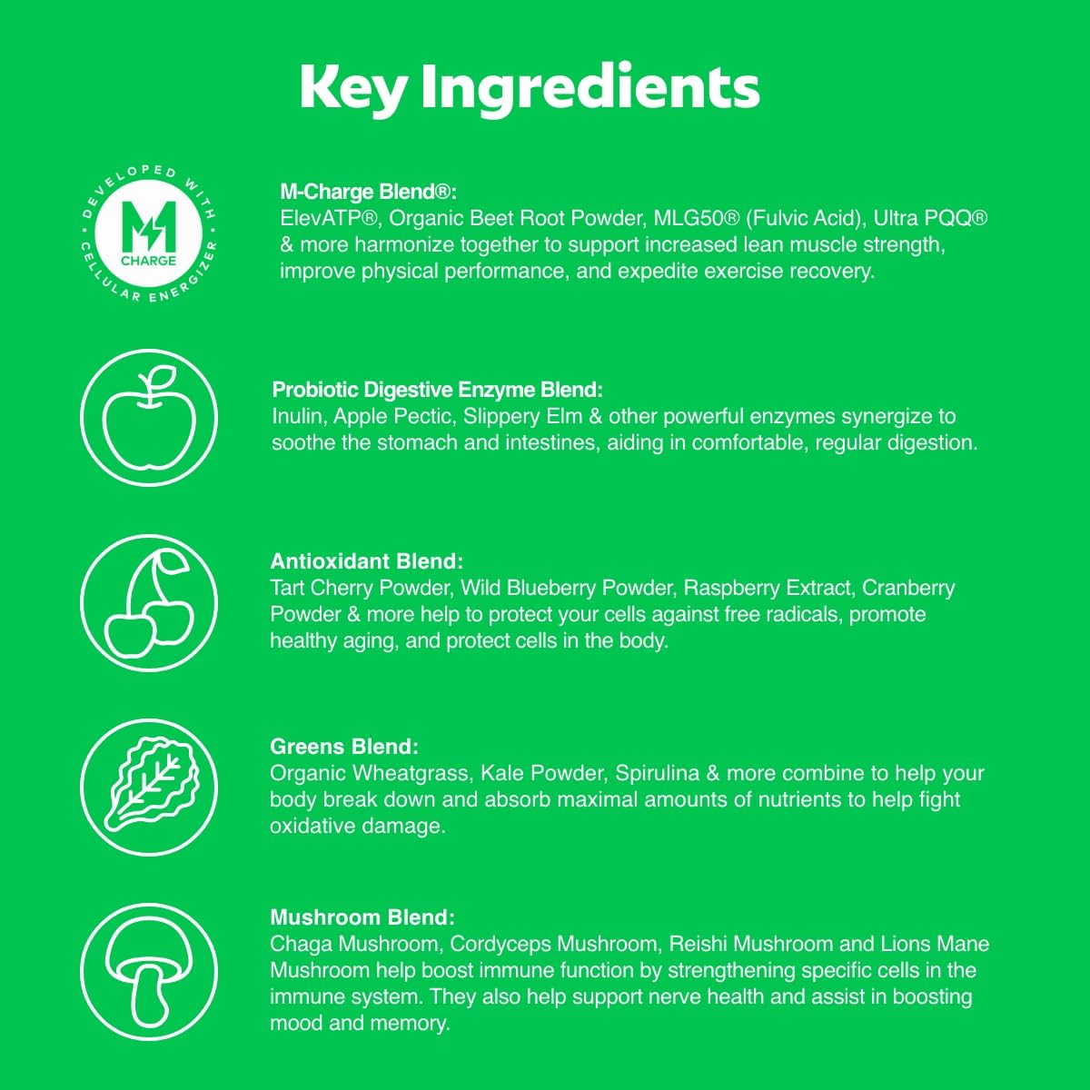 L'Evate You Vitality Daily Greens Powder (28 Servings) 30 Superfoods, 9 Greens - for a Cellular Energy Boost, Powered by M-Charge Complex for All Day Energy (Original) - Maple Wellness Supplements