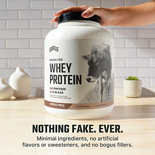 Levels Grass Fed 100% Whey Protein, No Hormones, Chocolate Mocha, 5LB - Maple Wellness Supplements
