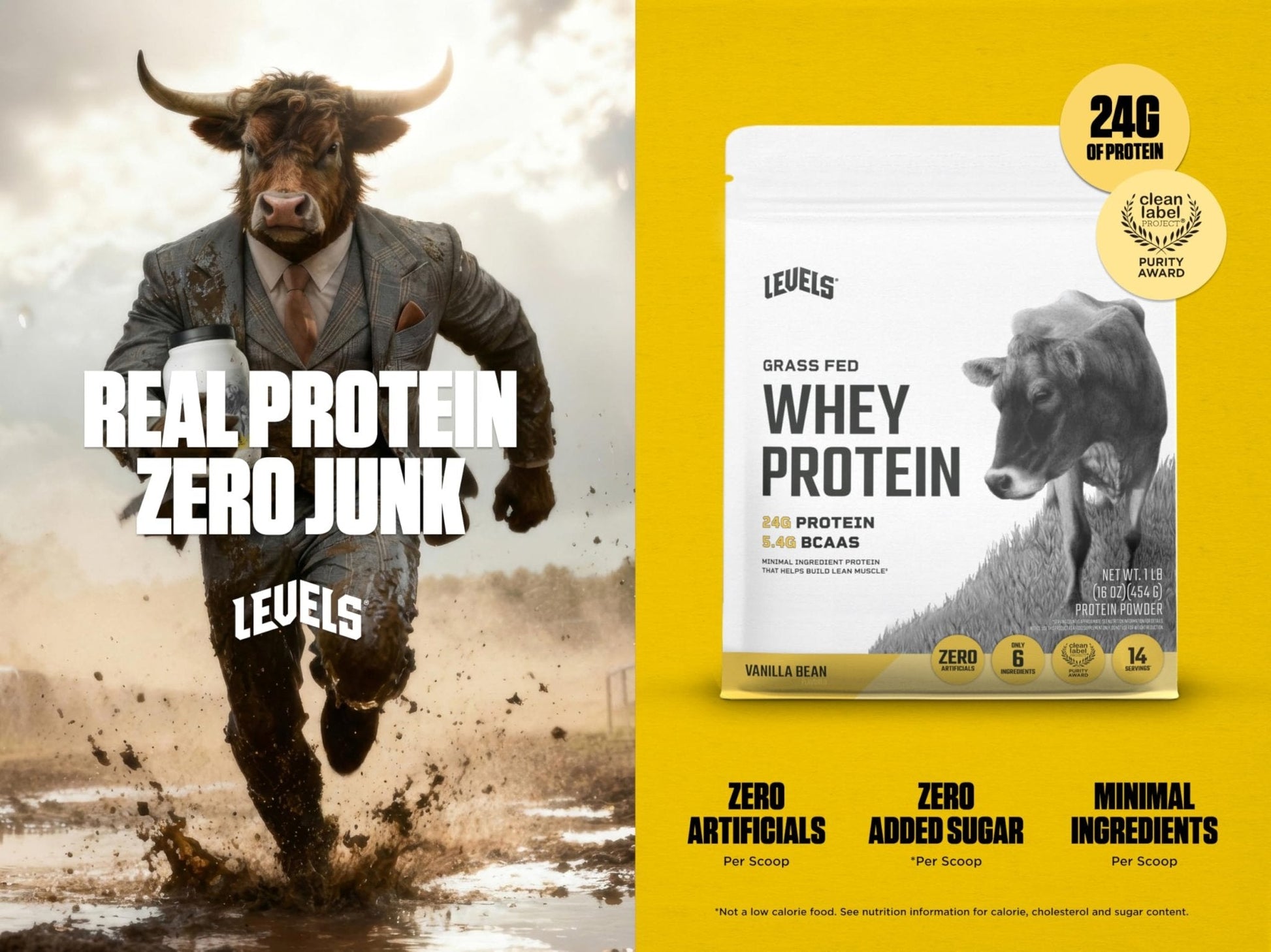 Levels Grass Fed Whey Protein Powder, No Artificials, 24G of Protein, Vanilla Bean, 1LB - Maple Wellness Supplements