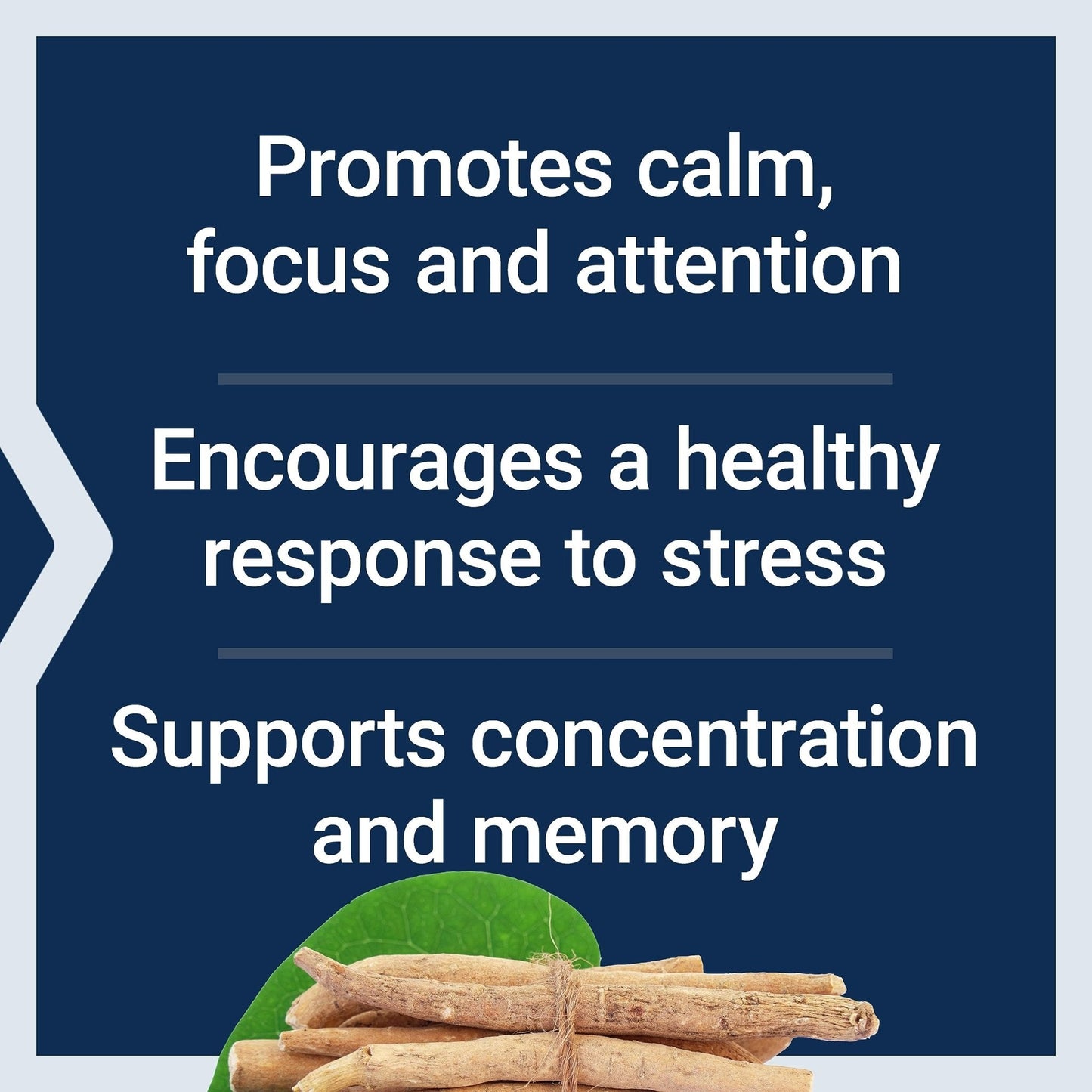 Life Extension Ashwagandha Plus Calm & Focus, ashwagandha Extract, Spearmint Extract, Focus, Attention, Relaxation, Advanced Formula, 60 Vegetarian Capsules - Maple Wellness Supplements
