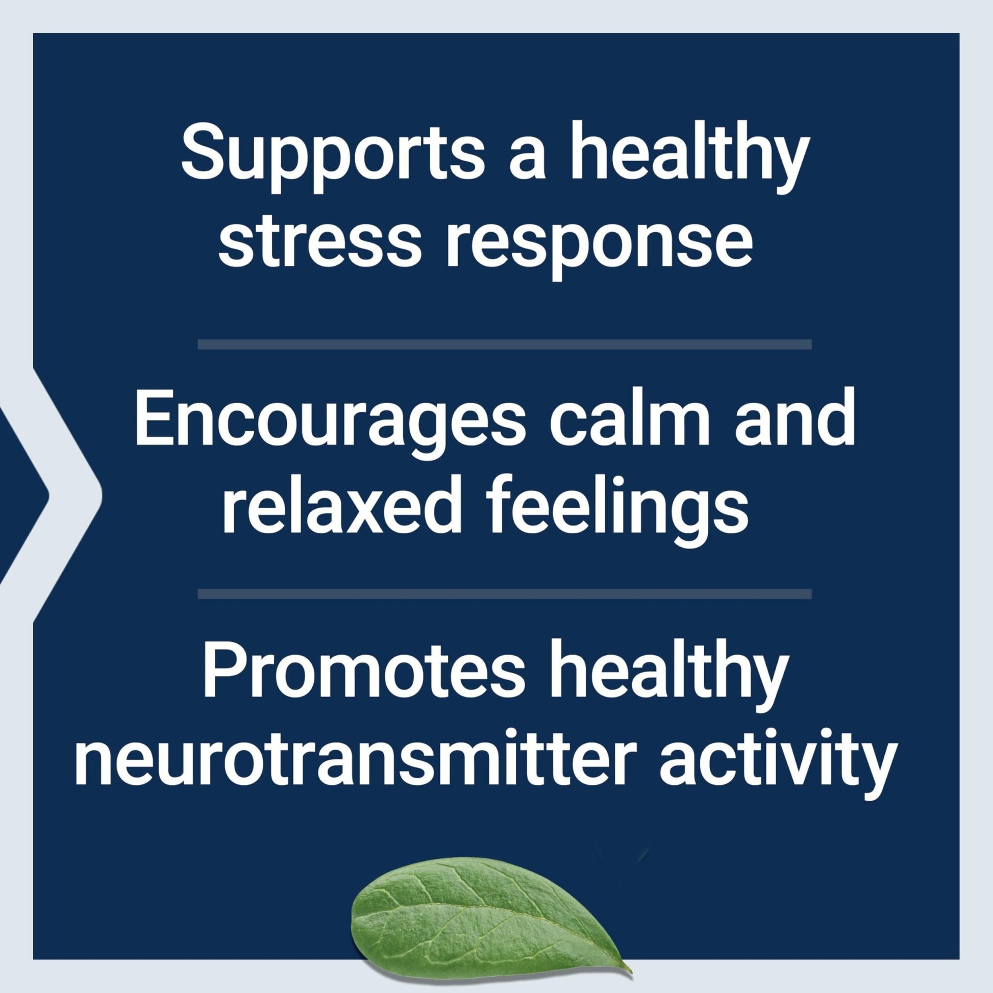 Life Extension Calm-Mag, Magnesium Acetyl taurinate, Daily Stress Management Formula, Supports Calmness and Relaxation, Gluten-Free, Non-GMO, Vegetarian, 30 Capsules - Maple Wellness Supplements