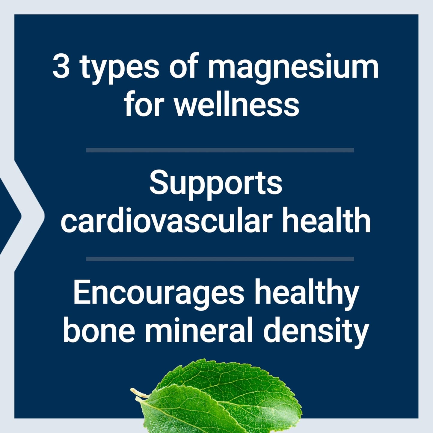 Life Extension Magnesium Caps, 500 mg, Magnesium Oxide, Citrate, and Succinate, Heart Health, Healthy Bones, Metabolism Support, 100 Vegetarian Capsules - Maple Wellness Supplements
