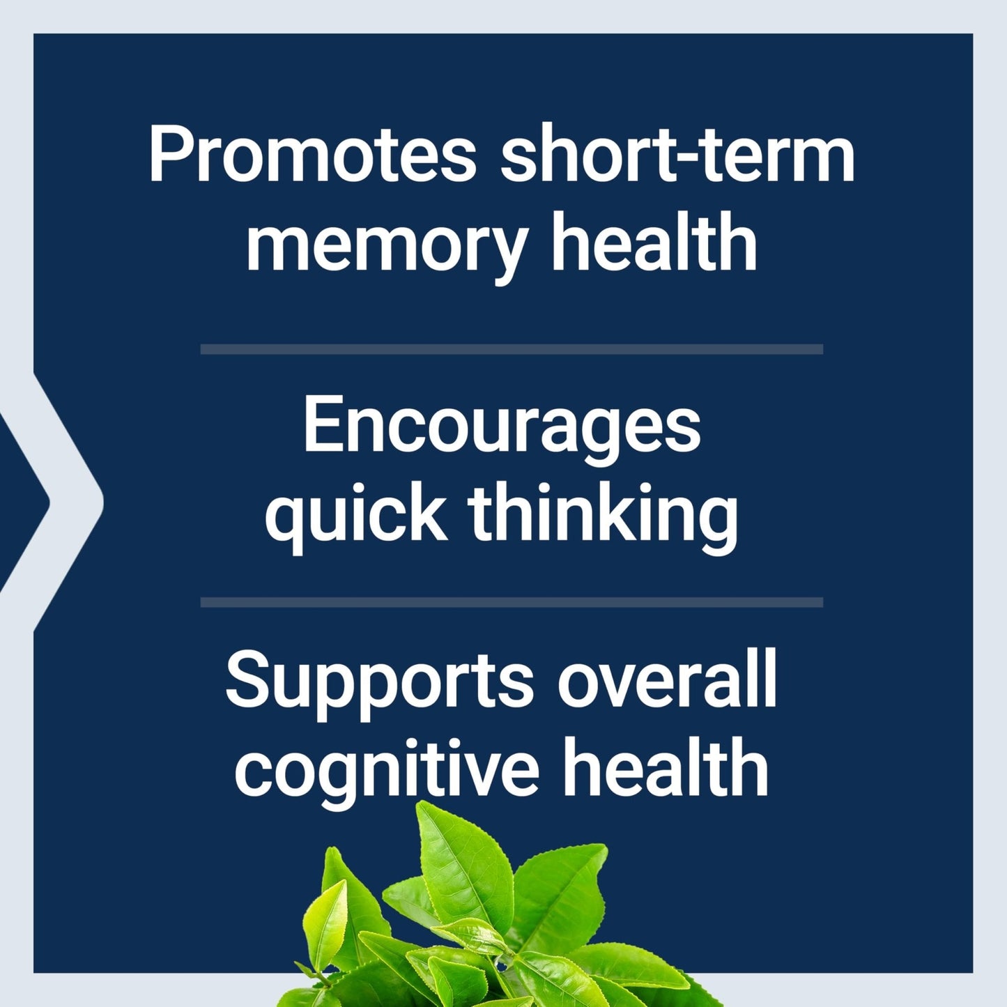 Life Extension Neuro-Mag Magnesium L-Threonate, Memory Health, Quick Thinking, Cognitive Health Support, Vegetarian, Non-GMO, 90 Vegetarian Capsules (144 mg from 2000 mg Magtein magnesium L-threonate - Maple Wellness Supplements