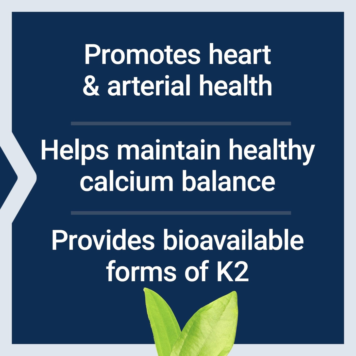 Life Extension Super K, Vitamin K Supplement, 2000 Mcg Vitamin K and 1180 Mcg Vitamin K2, Heart Health, Once-Daily, 90 Softgels - Maple Wellness Supplements