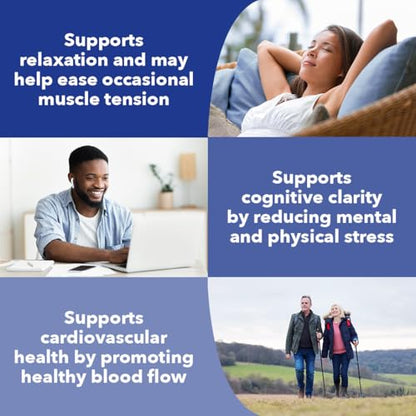 LifeSeasons Anxie-T - Stress Relief Supplement - Supports Mood & Mental Focus - Feel Calm and Relaxed - Eases Tension & Nervousness - Ashwagandha - Maple Wellness Supplements