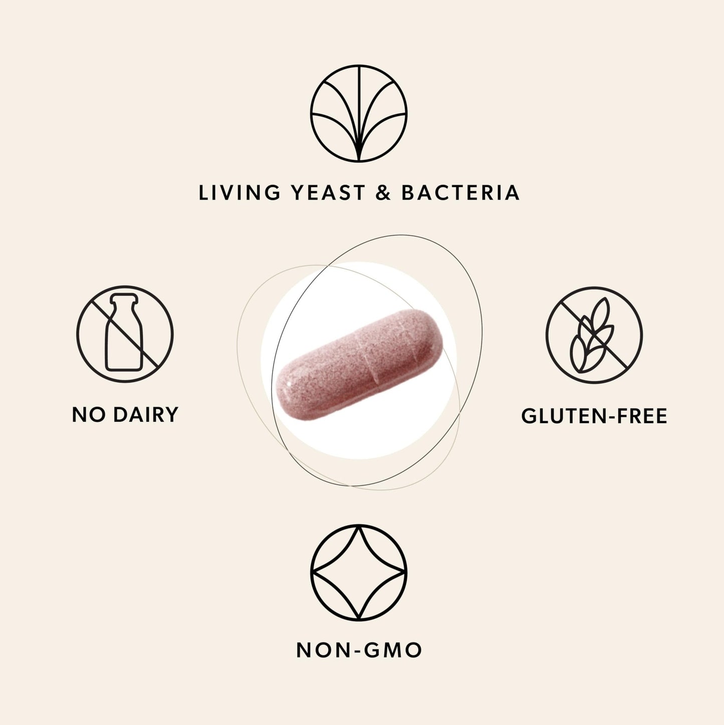 LiiV Women's Probiotics for Women Digestive Health, Vaginal pH Balance & Urinary Tract - Maple Wellness Supplements