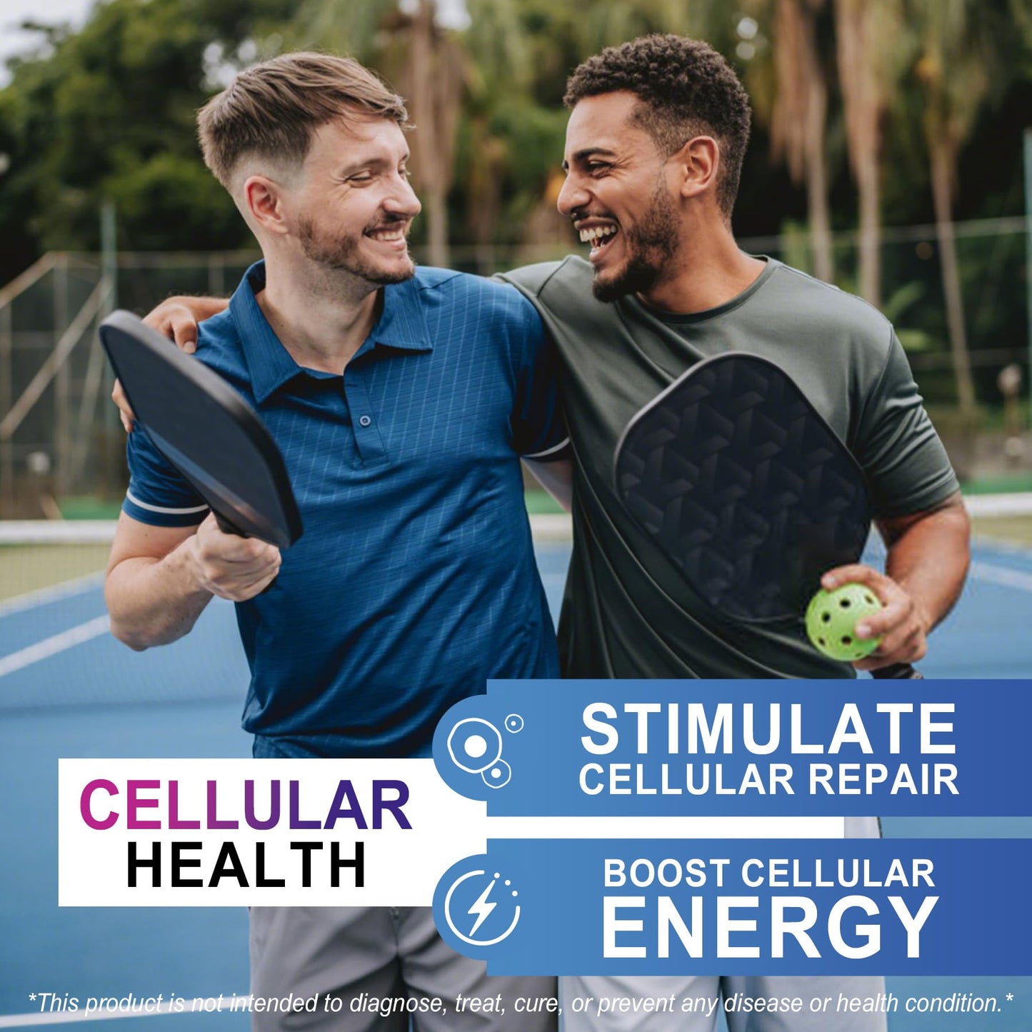 LILICARE Advanced 12mg Methylene Blue Softgels for Humans | Upgraded Brain & Cellular Energy Supplement with CoQ10, NR & ALA | High Absorption Formula, Non-GMO, Mitochondrial & ATP Support, 120 Cts - Maple Wellness Supplements
