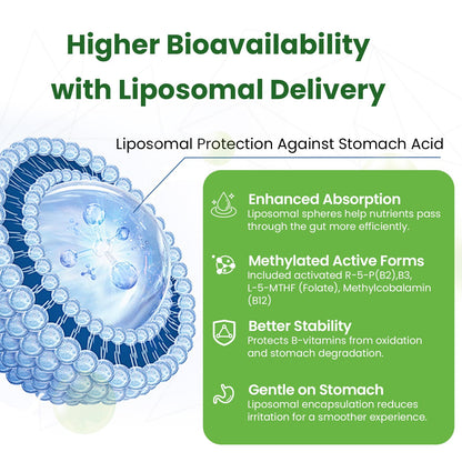 Liposomal B Complex for High Absorption Methylated B12,L-Methyfolate(5-MTHF ),Full Active B Vitamins with Choline Inositol-Energy, Metabolism,Brain & Heart Support - Maple Wellness Supplements