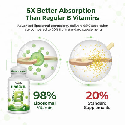 Liposomal B Complex for High Absorption Methylated B12,L-Methyfolate(5-MTHF ),Full Active B Vitamins with Choline Inositol-Energy, Metabolism,Brain & Heart Support - Maple Wellness Supplements