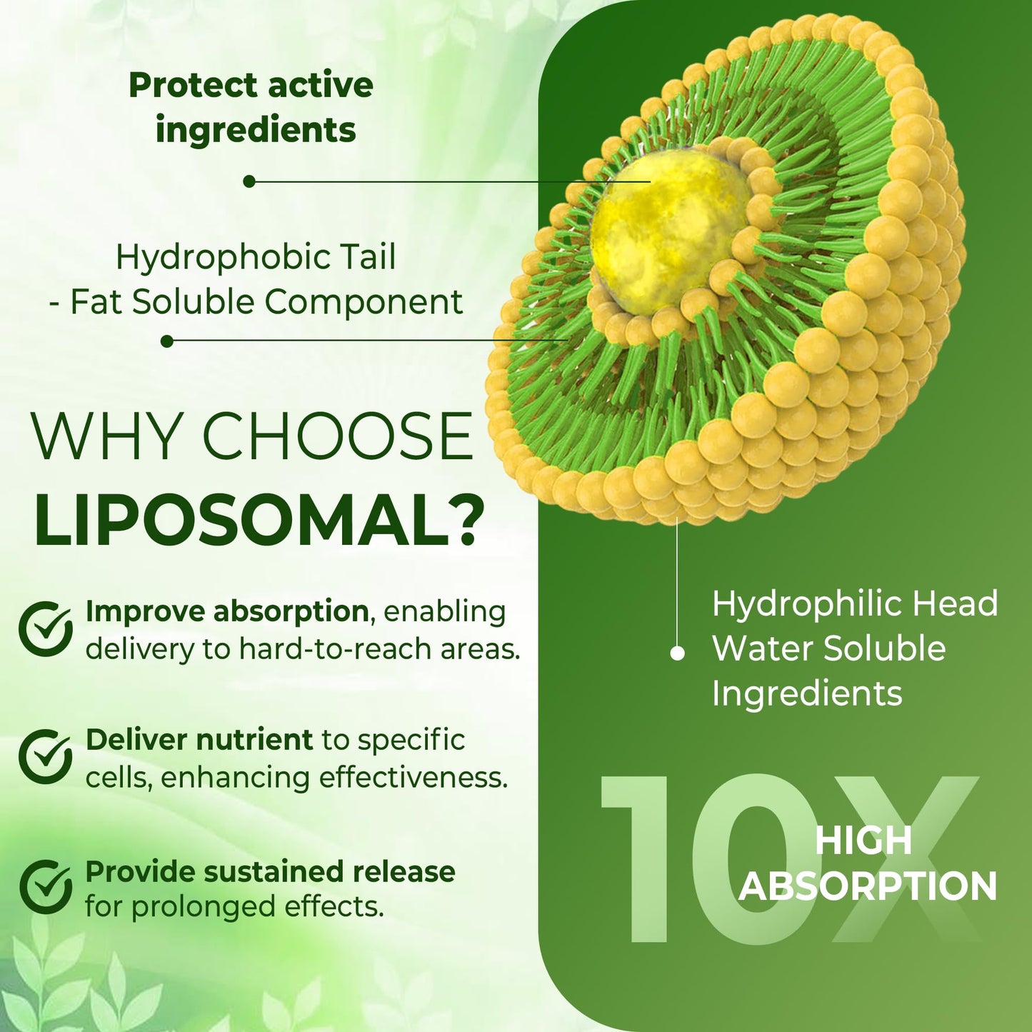 Liposomal L-Theanine 200mg Magnesium Glycinate 400mg Gummies with GABA, 5HTP, Apigenin, Vitamin B6 & D3, Ashwagandha, Lemon Balm Leaf, Melatonin Free Sleep - Maple Wellness Supplements
