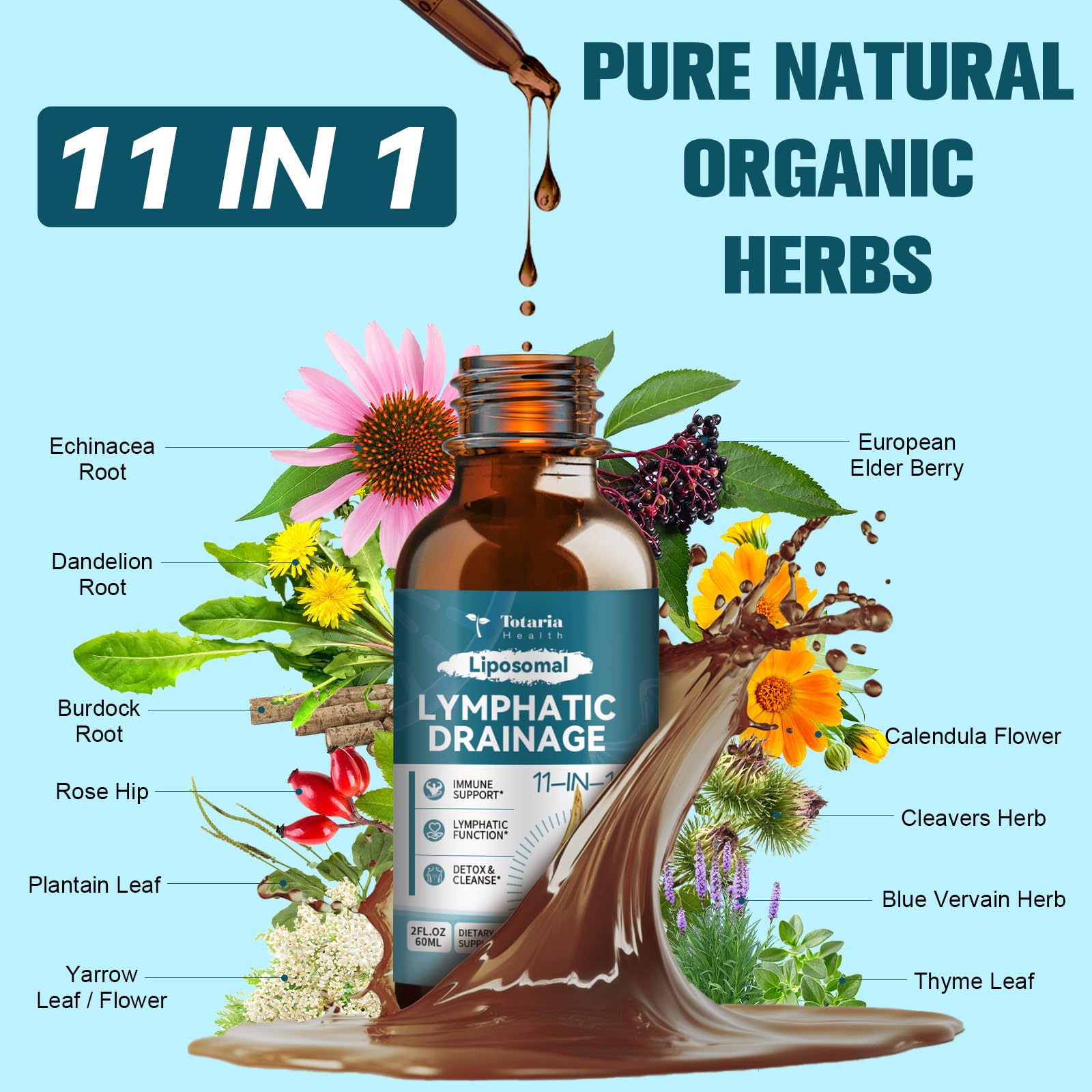 Liposomal Lymphatic Drainage Drops - 11 In 1 Organic Lymphatic Drainage Supplement with Burdock Root, Echinacea, Elderberry, Calendula, Cleavers Herb - Maple Wellness Supplements