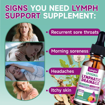 Liposomal Lymphatic Drainage Drops, 9-In-1 Lymphatic Drainage Supplements for Detox & Cleanse, with Echinacea, Dandelion, Elderberry, Burdock Root & Cleavers, Immune & Lymph System Support, 2 FL OZ - Maple Wellness Supplements