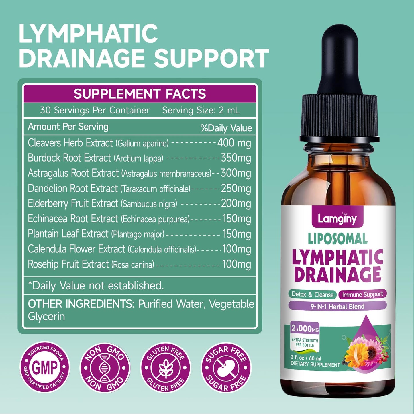 Liposomal Lymphatic Drainage Drops, 9-In-1 Lymphatic Drainage Supplements for Detox & Cleanse, with Echinacea, Dandelion, Elderberry, Burdock Root & Cleavers, Immune & Lymph System Support, 2 FL OZ - Maple Wellness Supplements
