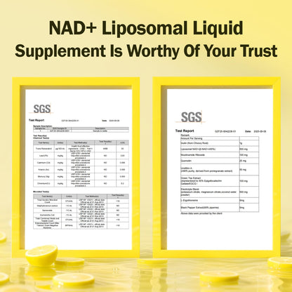 Liposomal NAD+ Liquid Supplement - Designed to Help Support Absorption - Nhanced Cellular Uptake, Helps Support Normal Cellular Health, Supports Cellular Energy Metabolism and Vitality - Lemon Flavor - Maple Wellness Supplements