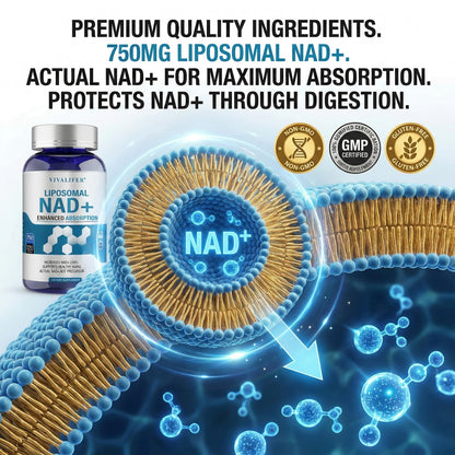 Liposomal NAD+ Supplement 750mg - 120 Capsules NMN Alternative Superior Absorption & Bioavailability -True Nicotinamide Adenine Dinucleotide for Cellular Energy, DNA Repair Support & Healthy Aging - Maple Wellness Supplements
