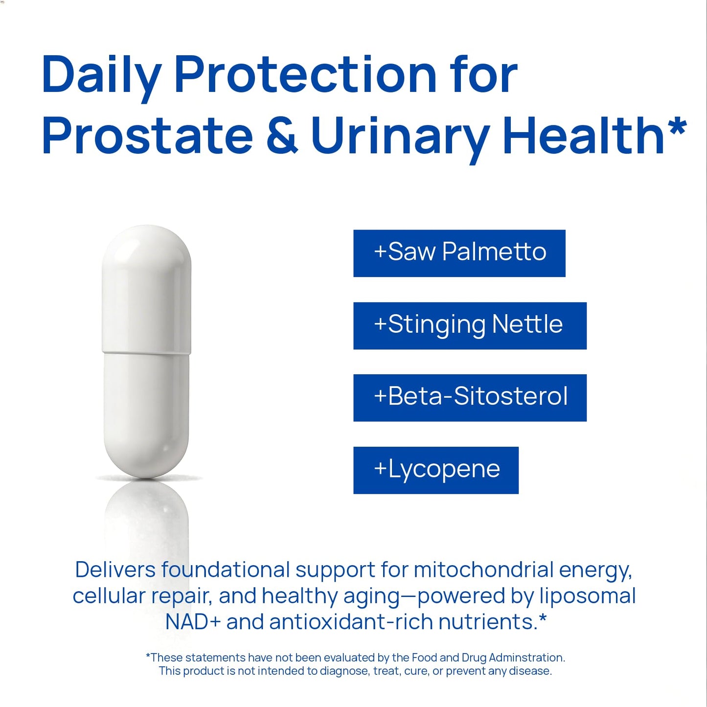 Liposomal NAD Supplement for Men – NMN Supplement Nitric Oxide Prostate Health Supplements with Resveratrol, CoQ10, L Citrulline and Lycopene for Anti-Aging & Cellular Energy Support 60 Capsules - Maple Wellness Supplements