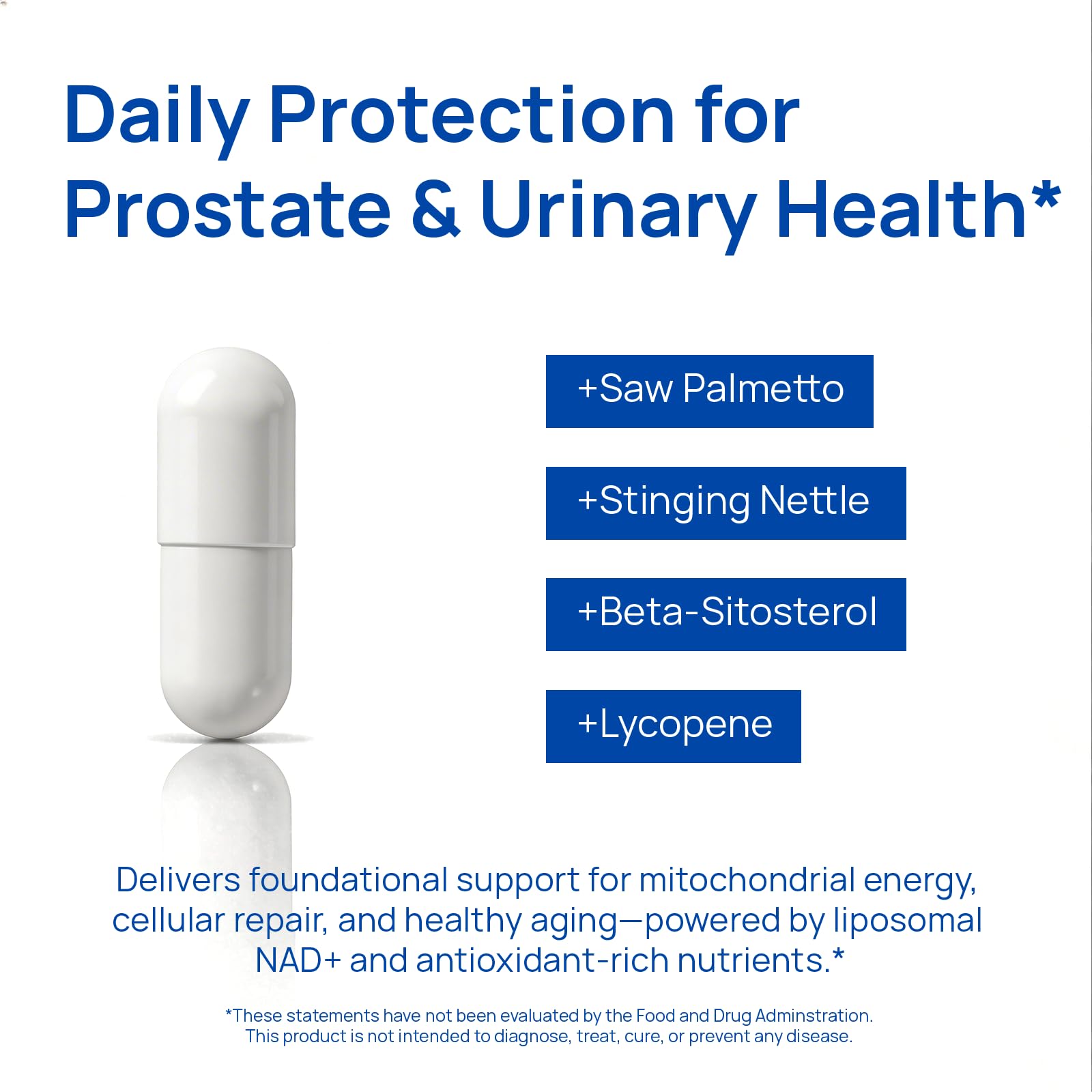 Liposomal NAD Supplement for Men – NMN Supplement Nitric Oxide Prostate Health Supplements with Resveratrol, CoQ10, L Citrulline and Lycopene for Anti-Aging & Cellular Energy Support 60 Capsules - Maple Wellness Supplements