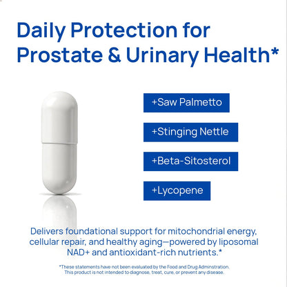 Liposomal NAD Supplement for Men – NMN Supplement Nitric Oxide Prostate Health Supplements with Resveratrol, CoQ10, L Citrulline and Lycopene for Anti-Aging & Cellular Energy Support 60 Capsules - Maple Wellness Supplements